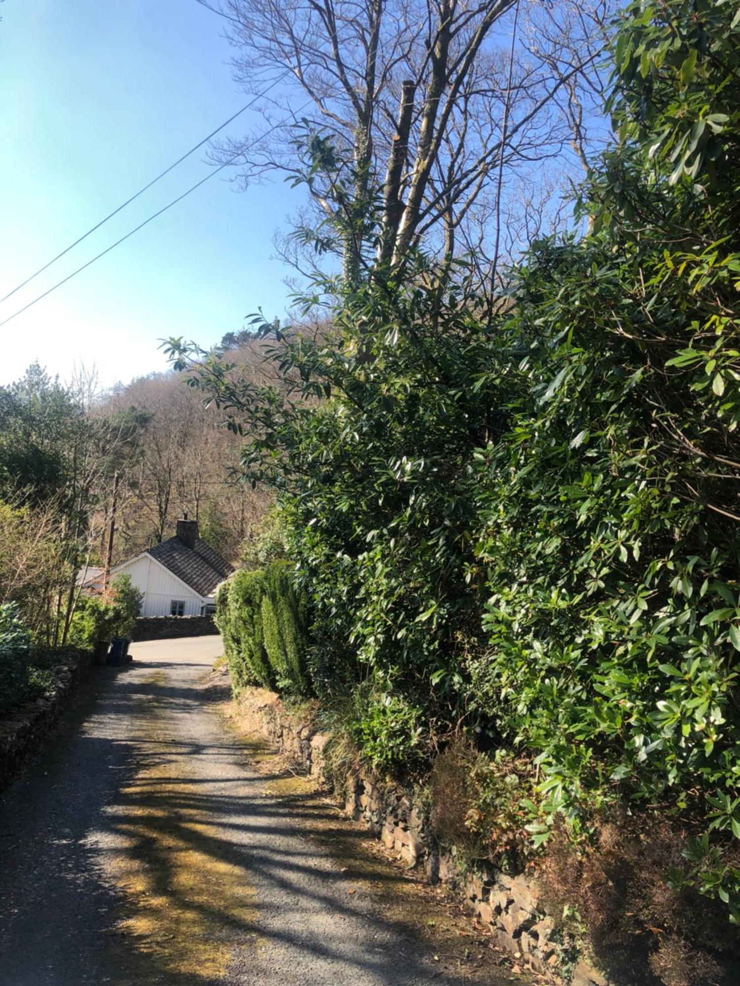 Snowdonia Mawddach Escape Villa Dolgellau Buitenkant foto